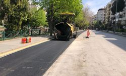 Eskişehir'de 72 kilometrelik bisiklet yolu için çalışmalar sürüyor!