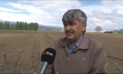 Üreticiler perişan: Eskişehir sebze ve meyveye hasret kalacak