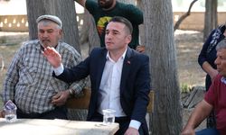 "Mera alanlarına güneş enerji tesisi kurulmasına karşıyız"