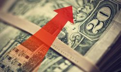 Dolarda flaş iddia! Dev kurum bu tarihte 55 lira olur dedi