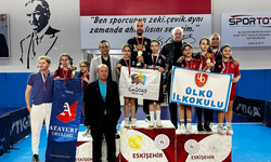 Okul sporları masa tenisi minikler il birinciliği müsabakaları tamamlandı!