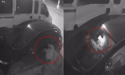 Eskişehir'de bir hırsızlık vakası daha: Bu kez de...