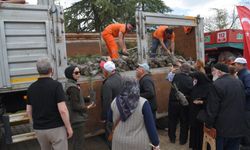 Eskişehir'de Yunus Emre için 4 bin fidan dikildi