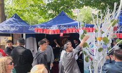 Eskişehir'de gençlerin umutları dilek ağacında hayat buldu