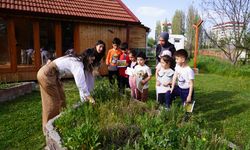 Tepbaşı'nda çocuklar eğlenirken öğreniyor