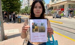 Herkes bayramı kutlarken o kaybolan kedisi Badem’i sokak sokak arıyor