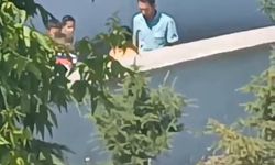 Adresler farklı olay aynı: Öğretmen şiddeti kameralara böyle yansıdı!