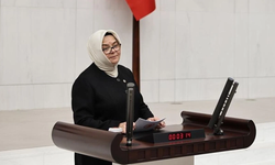 AK Parti Eskişehir Milletvekili Ayşen Gürcan'a TBMM'de yeni görev