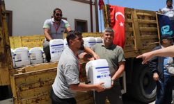Eskişehir Büyükşehir'den don felaketi sonrası üreticilere destek!