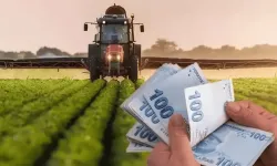 Çiftçiler bu haberi bekliyordu: Binlerce aileyi ilgilendiren ödemeler hakkında açıklama geldi