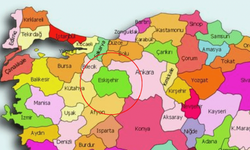 Eskişehir'de sayıları giderek arttı! Şehrin her yerindeler...