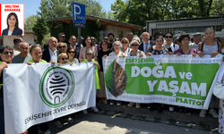 Eskişehirli çevreciler TBMM önünde: “Maden Kanunu Teklifi geri çekilsin”