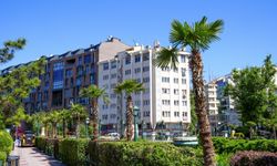 Palmiyeler ve zakkumlar Köprübaşı'nı süsledi
