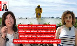 Soframızdaki tehdit pestisit: “Devlet hem denetlemeli hem bilgilendirmeli”