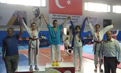 Eskişehir’de Taekwondo il seçmeleri tamamlandı