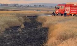 Eskişehir'de korkutan yangın: 200 dönüm alanda ekinler alev aldı