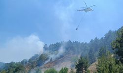Eskişehir'in komşusunda orman yangını korkuttu