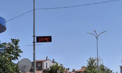 Afrika sıcakları ülkeye giriş yaptı: Termometreler 38 dereceyi gördü