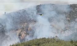 Komşuda bir başka orman yangını daha çıktı