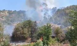 İHH Arama Kurtarma Eskişehir ekibinden orman yangınına müdahale