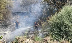 Komşuda çıkan orman yangınında soğutma çalışmaları tamamlandı