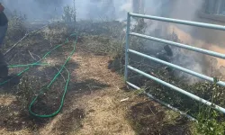 Komşuda besihane bahçesi alevlere teslim oldu
