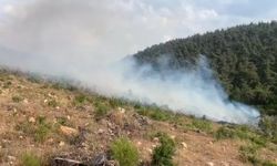 Eskişehir'in komşusunda aynı noktada ikinci yangın!