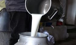 Süt üretimi Ağustos ayında azaldı