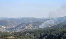 Komşudan güzel haber! Yangın kontrol altına alındı