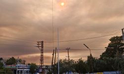 Orman yangını Eskişehir'e dayandı! Dumanlar gökyüzünü kapladı