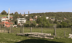 Köyde evi olanlar resmen yandı: Milyonları ilgilendiren düzenleme