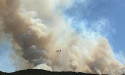 Binlerce dönüm arazi kül olmuştu: Eskişehir'deki yangın hakkında yeni gelişme!