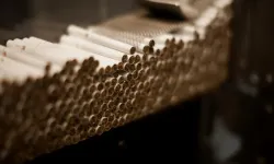 Vergi kaybı katlanarak büyüyor: Kaçak tütün piyasası kontrolden çıktı