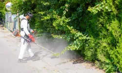 Eskişehir'deki yabani ot temizliği hız kesmeden devam ediyor