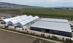 Eskişehir'deki hayvan pazarları kapatılmıştı: Tarım ve Orman Bakanlığı’ndan şap hastalığı açıklaması