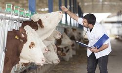 Veteriner hekim olmak isteyen öğrenciler bu habere aman dikkat