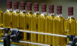 Normal sınırı 6 kat aştı! Türk zeytinyağına toplatma kararı