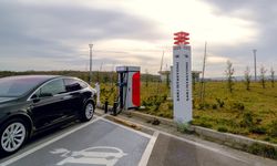 Elektrikli araç sahiplerine iyi haber: Bu firmalara rekor ceza kesildi