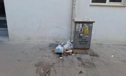 Eskişehir'in o mahallesinde sabah saatlerinde yok artık dedirten görüntü