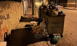71 Evler Mahallesi'nde çöp konteyneri yetersizliği mahalleliyi isyan ettirdi