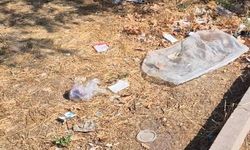 Eskişehir'de tepki çeken görüntü: "Resmen çöplüğe dönmüş"