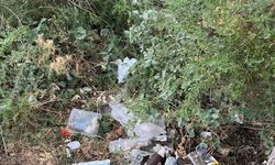 Eskişehir'e yakın bölgedeki o yer çöplüğe döndü
