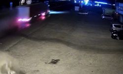 Komşuda feci kaza: 2 ölü, 1 yaralı