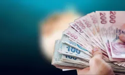 Resmi Gazete'de yayımlandı: Avlayıp getirene para verilecek