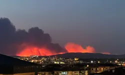 Eskişehir Büyükşehir Belediyesi Çanakkale'deki yangına destek ekip yolladı