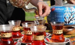Eskişehir'de yeni çay bahçesi açıldı
