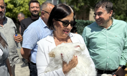 CHP'li Süllü Renkliköy'de esnafla bir araya geldi