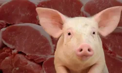 Bakanlıktan korkutan açıklama: Bu ürünlerde domuz eti ve yasaklı boya var