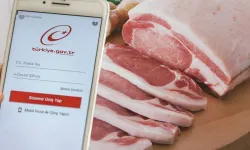 e-Devlet'e yeni özellik geldi: Domuz eti tespit edilen ürünler görülebilecek