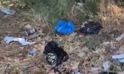 Eskişehir'de biriken çöpler isyan ettirdi: "Artık ben temizleyeceğim"